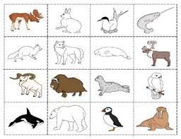 Arctic Animals Mini Matching Cards Arctic Animals Arctic Animals
