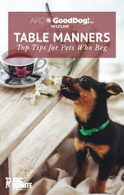 Table Manners Table Manners Pets Happy Dogs