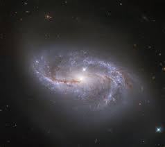 Ngc 1398 es una galaxia espiral barrada. Galaxia Ngc 2608 Galaxia Espiral Barrada 2608 Galaxias Del Mes Sin Spiralnaya Galaktika S Peremychkoj V Sozvezdii Rak Ru Dorthyb Margin