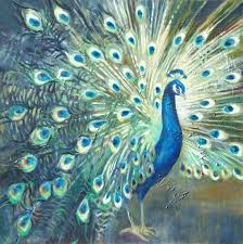 Another Amazing Peacock Peacock Art Peacock Painting Canvas Art Projects