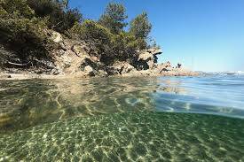 Sentier Du Littoral 6 Balades A Faire Entre Hyeres Et Ramatuelle Ramatuelle Sentiers Hyeres