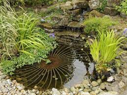 Build A Classroom Frog Pond Small Garden Pond Garden Water Fountains Water Features In The Garden