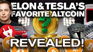 Not great, according to the plummeting valuation of dogecoin, the literal cartoon billionaire's personal favorite cryptocurrency. Buy This Altcoin Over Btc Why Tesla Elon Musk Youtube