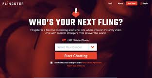A Comprehensive Flingster.Com Review | hookuponline.org [2025]