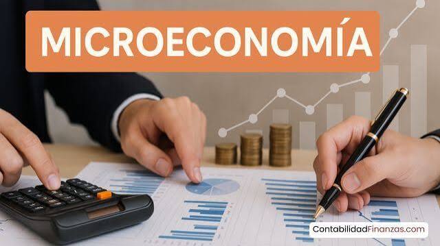 Qué es la Microeconomía y por qué es importante?