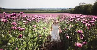 Maybe you would like to learn more about one of these? 1 748 Flowers Field Hungary Photos Free Royalty Free Stock Photos From Dreamstime