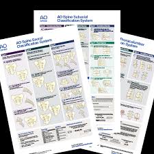 Image result for Subaxial Injury Classification Scale
