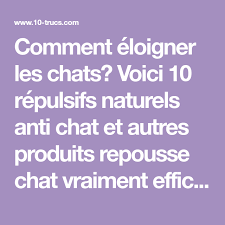 Comment Eloigner Les Chats Voici 10 Repulsifs Naturels Anti Chat Et Autres Produits Repousse Chat Vraiment Eloigner Les Chats Comment Eloigner Les Chats Chat