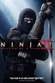 Ninja Shadow Of A Tear Chickflicks Wraak Samoerai