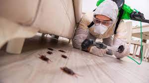 That's why we recommend one of our simple, affordable residential pest control protection plans. Pest Control Company Bladenboro Lumberton Nc Down East Pest Control Company