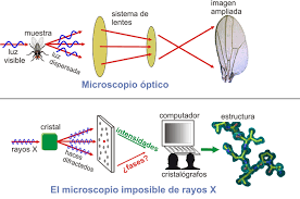 We did not find results for: Cristalografia En Pocas Palabras