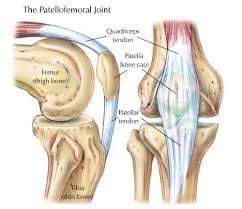 The pcl has a better blood flow. Anterior Knee Pain Kennedy Brothers Physical Therapy