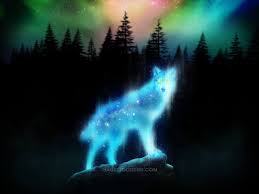With prior approval from booking your tickets, you may transport in the cabin: Spirit Animal Wallpapers Top Free Spirit Animal Backgrounds Wallpaperaccess