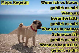 Mops Zitate Und Sprüche