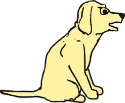 Doch häuft sich das bellen des hundes und wird zur regelmäßigkeit, so läuft man zwangsläufig auf ein problem. Wie Du Deinem Hund Das Bellen Beim Klingeln Abgewohnen Kannst Dogeridoo