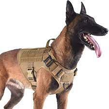 What is a tactical dog harness. Amazon Com Icefang Tactical Dog Harness With 2x Metal Buckle Dog Walking Training Molle Vest With Handle No Pulling Front Leash Clip Hook And Loop For Dog Patch L 28 35 Girth Coyote