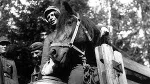 Still, after 80 years, people try to claim that the winter war was finland's fault. Winter War Finland Vs Russia Transporting A Wounded Horse Imgur