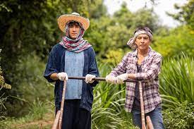 มนต์รักหนองผักกะแยง ดูทีวีย้อนหลัง ดูละครย้อนหลัง เรื่อง มนต์รักหนองผักกะแยง ตอนที่ 5 ep 5 ตอนล่าสุด วันที่ 22 พฤษภาคม 2564 นำแสดงโดย ณเดชน์ คูกิมิยะ. 5ucms17lt6n6fm