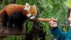 Animal Encounters Animals Behind The Scenes Scenes