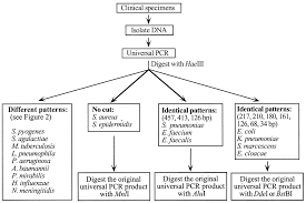 Fig 4 Journal Of Clinical Microbiology