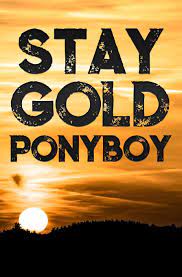Designed and sold by aterkaderk. Amazon Com Stay Gold Ponyboy A Lined Notebook Inspirational Motivational Quotes Stay Gold Ponyboy Stay Gold 9781655635120 Books Hinitos Books