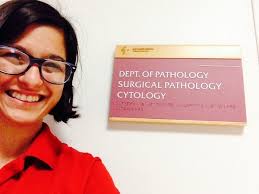 STARS to our Staff, Parents and Students