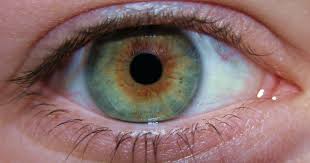 En liten prosentandel av befolkningen har ulik størrelse på pupillene fra fødselen. Alkoholavvenning Pupiller Kan Kanskje Avslore Risiko For Tilbakefall