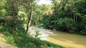Vs production 297 views3 weeks ago. Mohd Faiz Bin Abdul Manan Hutan Lipur Ulu Kinta