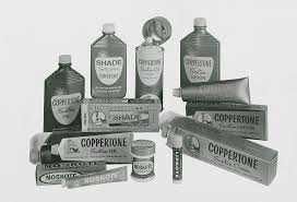 Image result for Light Coppertone 1983 Fedders
