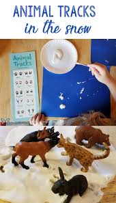 Animal Tracks In The Snow Share Remember Celebrating Child Home Winter Theme Preschool Winter Activities Preschool Winter Animals Preschool