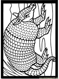 See the presented collection for armadillo coloring. Armadillo2 Coloring Page For Kids Free Armadillo Printable Coloring Pages Online For Kids Coloringpages101 Com Coloring Pages For Kids