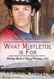 What Mistletoe Is For (12 Naughty Days of Christmas) by Kira Barcelo