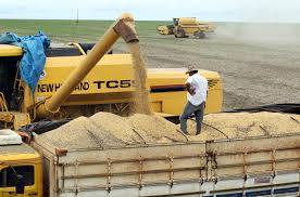 Brasil pode superar EUA na produção de soja em 2019/20 | EXAME