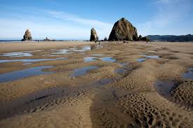 Image result for cannon beach