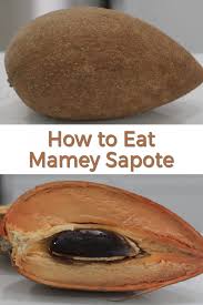 Maybe you would like to learn more about one of these? Mamey Sapote How To Eat It And Taste Test Pouteria Sapota