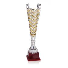 Ha avuto inizio il 14 giugno e si è conclusa il 7 luglio. Trofeo Copa Plata Y Oro Trofeoseconomicos Es