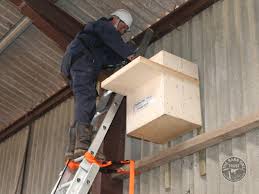 Somerset wildlife trust and the hawk and owl trust have installed 286 boxes all over the county to help stop the decline in owl numbers. Barn Owl Nestbox For Buildings The Barn Owl Trust