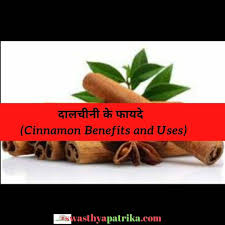 Cinnamon bark is used as a spice. Dalchini Cinnamon Khane Ke Fayde Swasthya Patrika Facebook