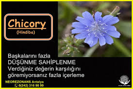 bach cicekleri neorezonansantalya