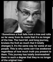 Morning Tea w/ Mommy