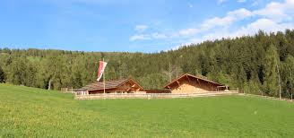 Definition, rechtschreibung, synonyme und grammatik von 'alm' auf duden online nachschlagen. Die Alm Hofschank Lingeralm