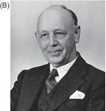 Using Comparative Genomics to Resolve the Origin and Early Evolution of  Snakes (Chapter 10)