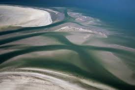 In dem naturschutzgebiet sind die früheren naturschutzgebiete „nordfriesisches wattenmeer, ausgewiesen im januar 1974, und teile des naturschutzgebietes „nordspitze amrum auf der insel amrum im kreis südtondern, ausgewiesen im oktober 1936, aufgegangen. Botschafter Fur Den Nationalpark Schleswig Holsteinisches Wattenmeer