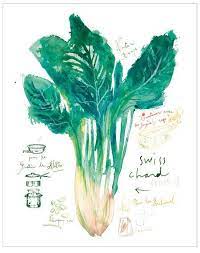 schweizer mangold rezept druck grune kuche dekor aquarell etsy food illustration art food art art
