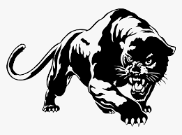 Panther Png Picture Black Panther Animal Drawing Transparent Png Is Free Transparent Png Image To Explore More Similar Hd In 2020 Panther Wild Panther Car Stickers