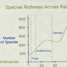 Video Tropical Rainforest Diversity Exploring Ecosystems