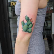 There are many species of cacti in texas, and frankly, although i know this is opuntia, i'm not sure which one. Kyle Kozek Tattoos Did This Fun Little Pricklypear And Would Love To