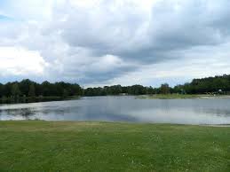 Klein vink ist ein ferienpark in schöner lage bei arcen, niederlande. Natuur Zwembad Picture Of Camping Klein Vink Arcen Tripadvisor