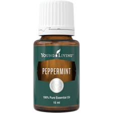 Peppermint is originally from europe, but 75 percent of the world's supply is now grown in the united states. Minyak Esensial Peppermint Young Living Essential Oils Young Living Essential Oils