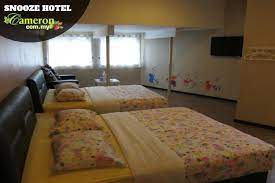 On the other hand if your family is more into art than aardvarks, the san antonio museum of art might be more your style. Snooze Hotel Cameron Highlands Online